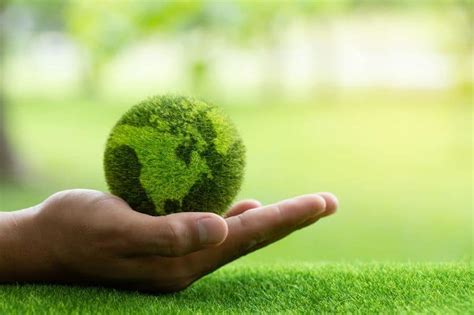 Sustainability .